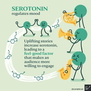 5. neuroscience_finalserotonin