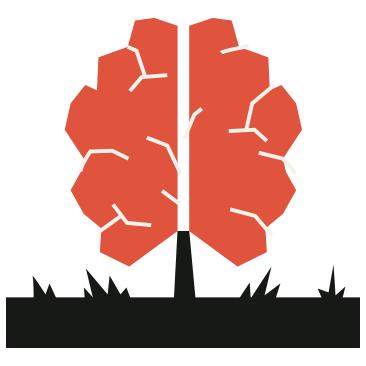 brain