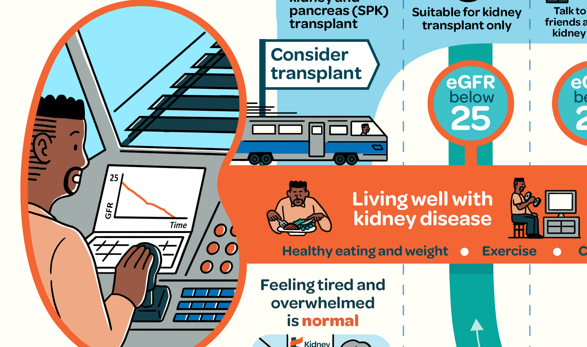 kidney3